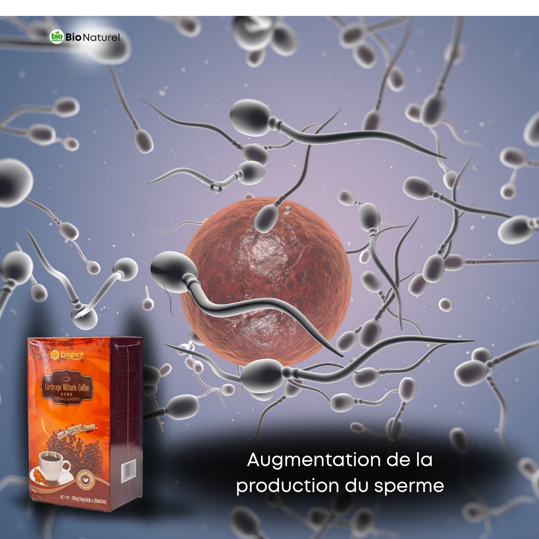 CAFÉ CORDYCEPS MULTARIS LONGRICH